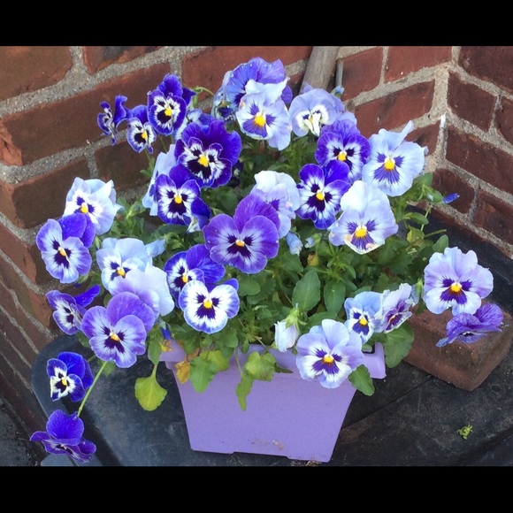 See something you like ? Make an Offer! - Picture 4 of 7